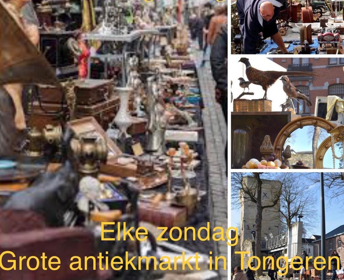Vakantiehuisje Vds Tongeren Kültér fotó